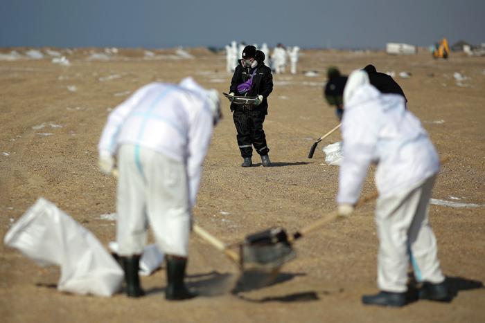 В Краснодарском крае вновь были зафиксированы выбросы мазута в районе крушения двух нефтетанкеров