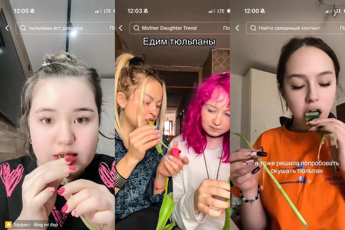 Подаренные тюльпаны должны радовать глаз, а не желудок: среди молодых девушек начался страшный и опасный тренд