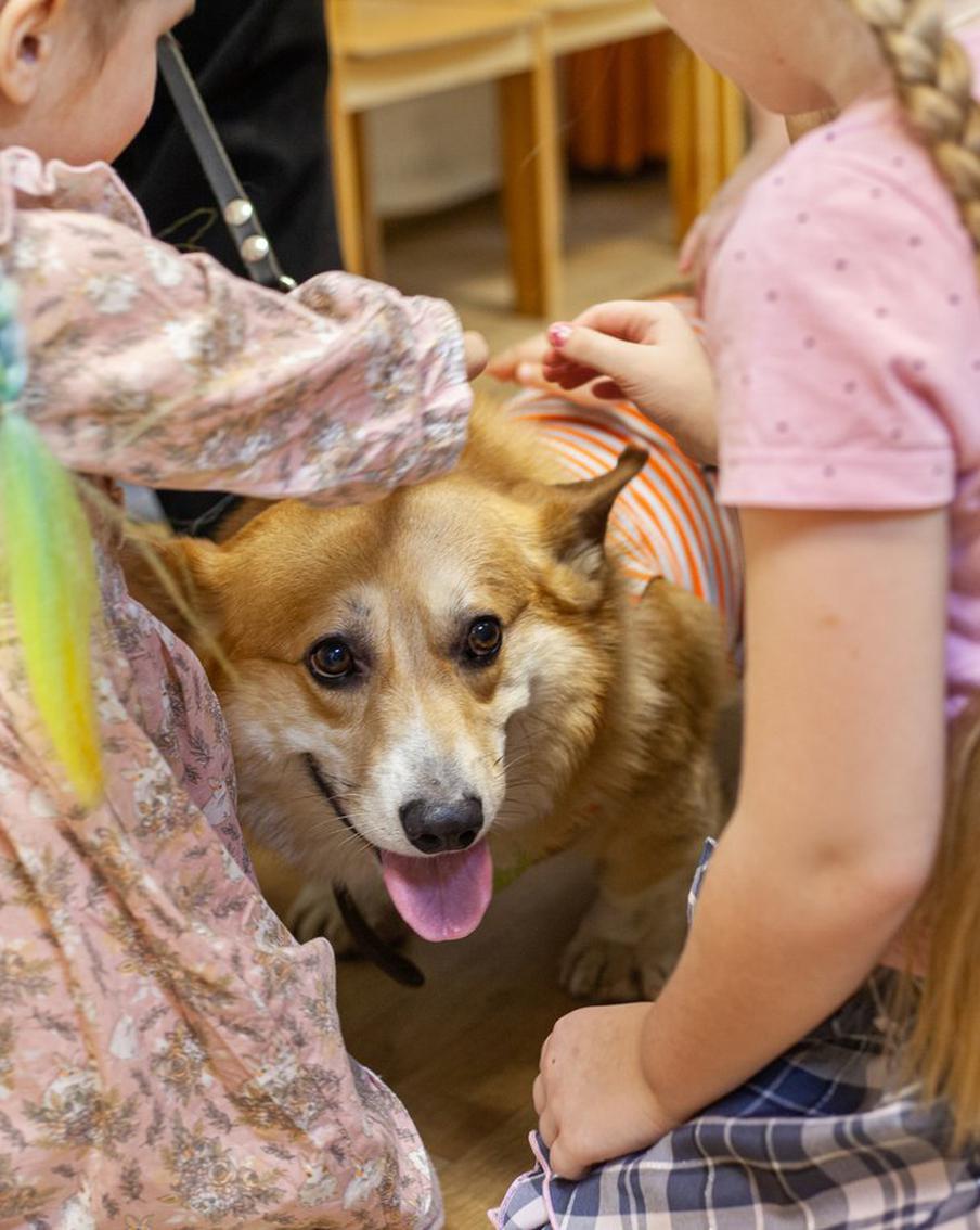 Корги-отряд "Маруся и друзья" помогает детям с особенностями развития