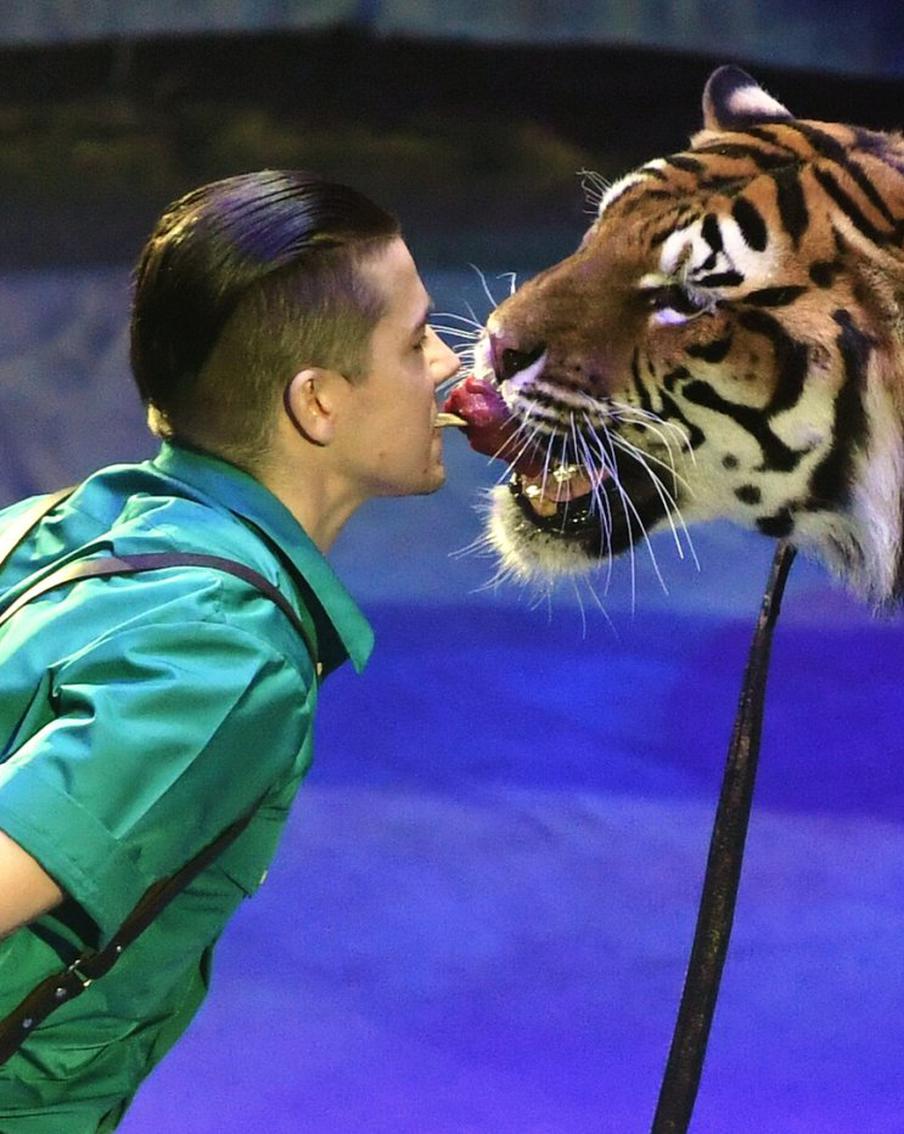 И людям, и животным нужен комфорт: артисты поделились своим мнением о проекте нового цирка