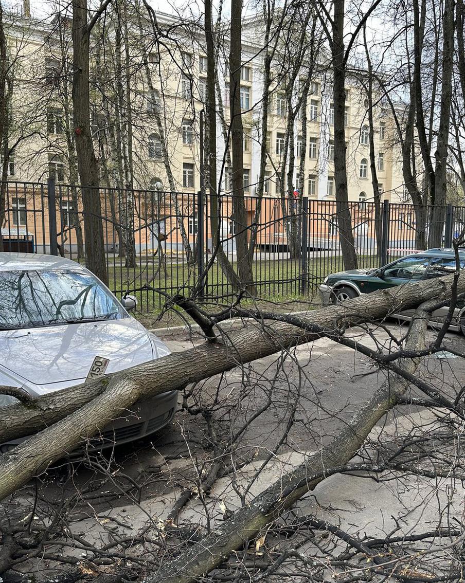 ЦОДД напомнил водителям, как вести себя в период сильного ветра