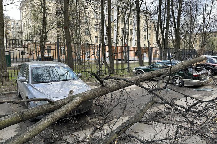 ЦОДД напомнил водителям, как вести себя в период сильного ветра