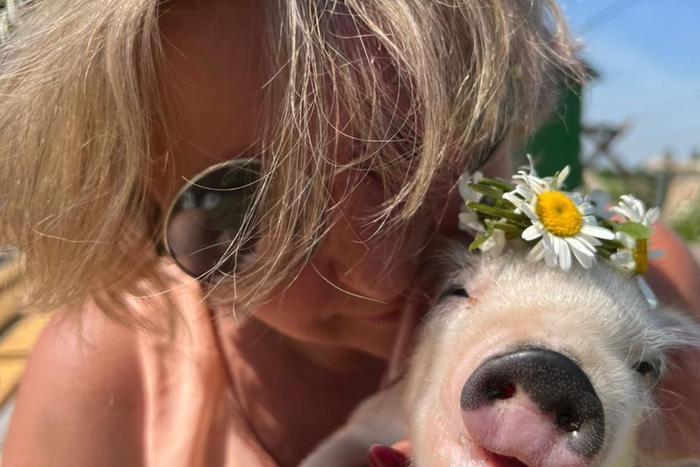 Готовы ли россияне променять жизнь в городе на волонтёрство на ферме с козами и лошадьми