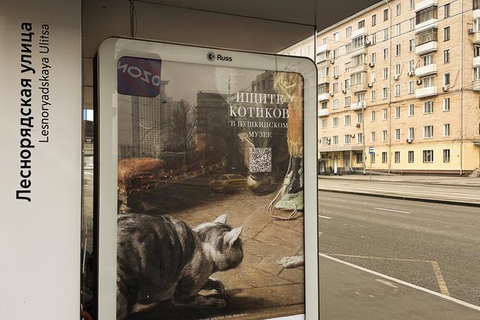 На столичных остановках наземного транспорта поселились котики