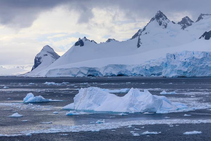"В послании содержалась мольба о спасении": учёный напал на коллег на антарктической станции