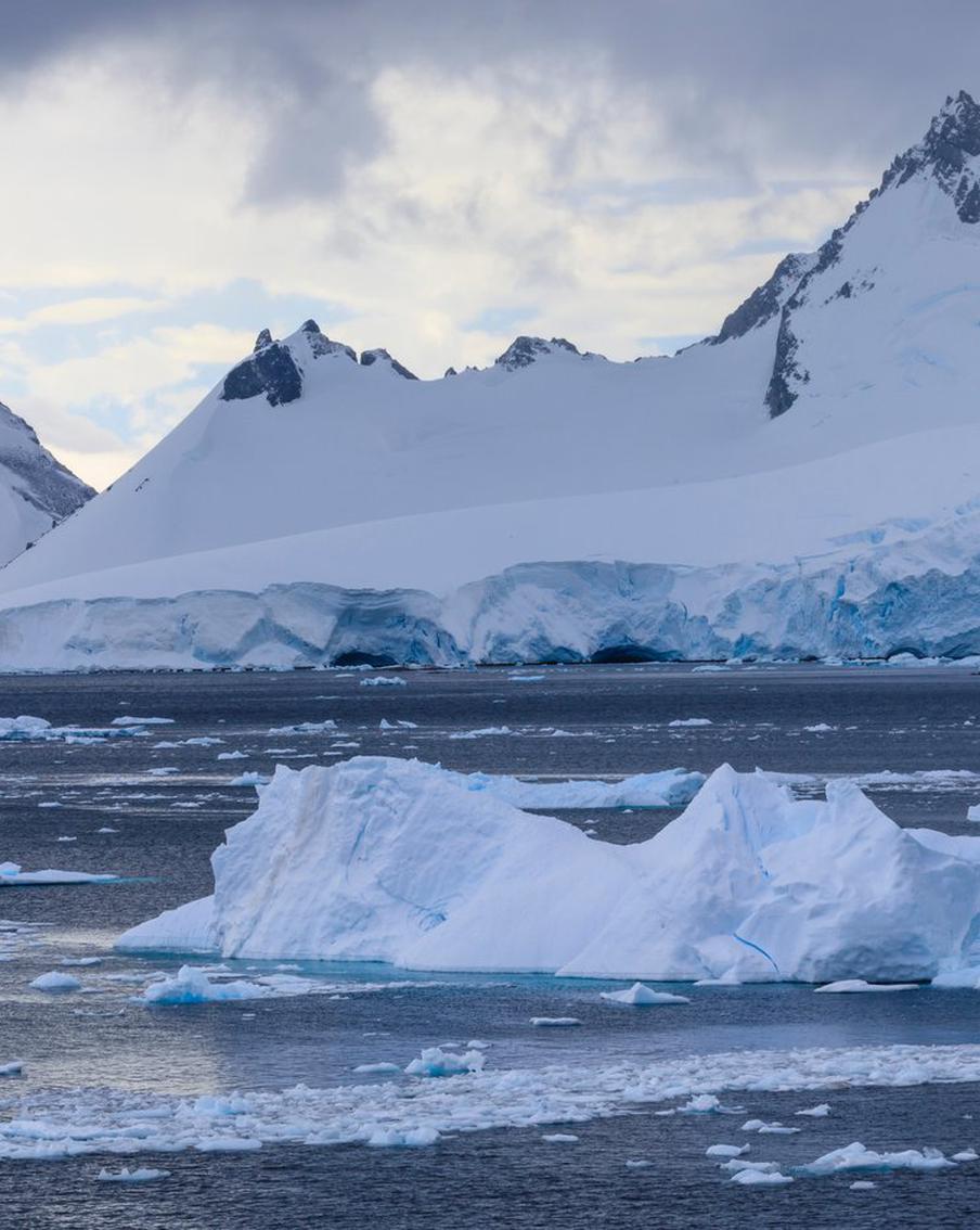 "В послании содержалась мольба о спасении": учёный напал на коллег на антарктической станции
