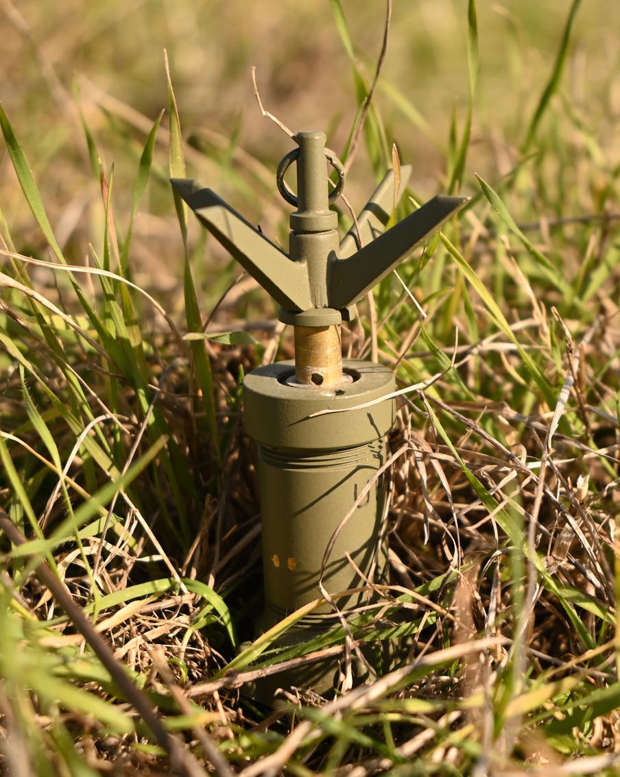 Польша и прибалтийские страны хотят выйти из Конвенции по противопехотным минам