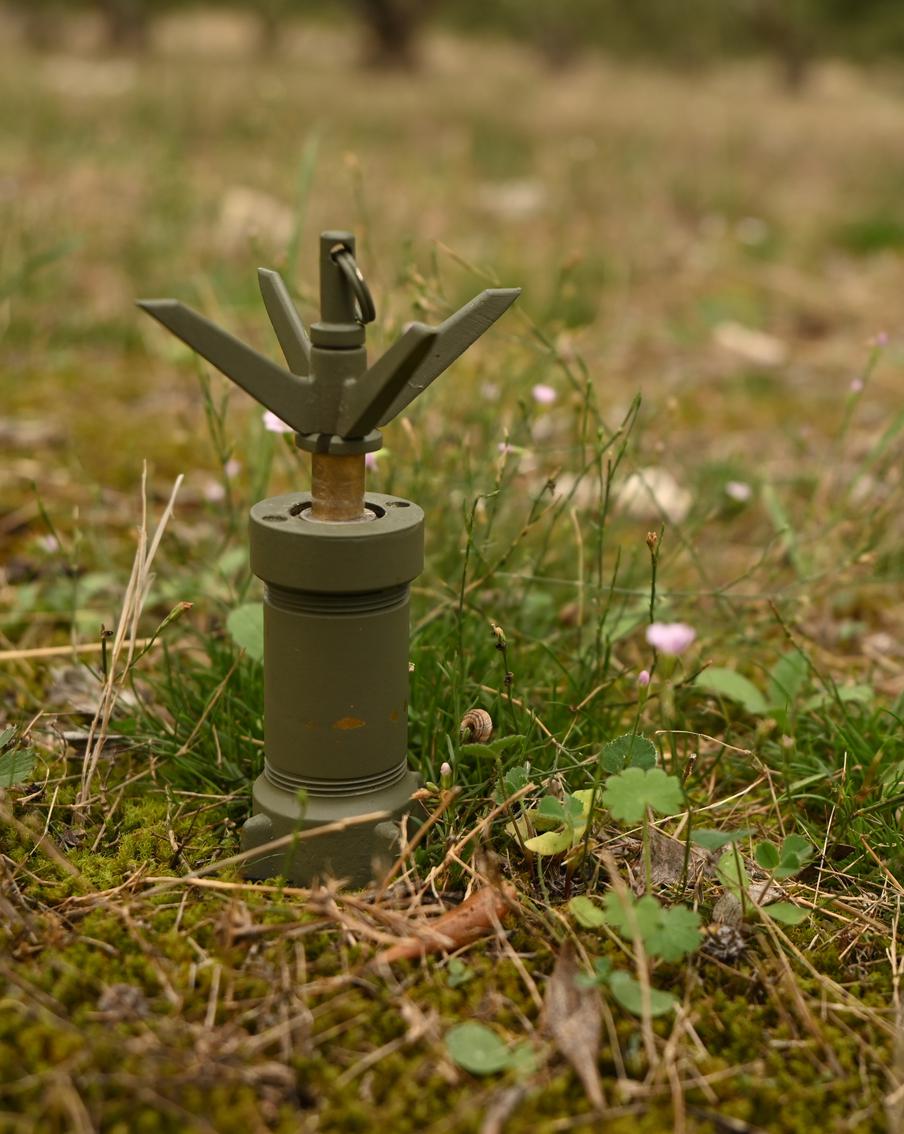 Польша может заминировать границу с Белоруссией