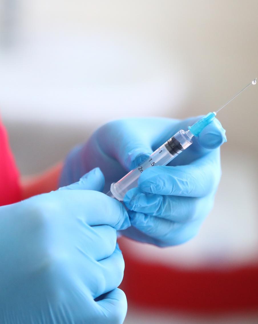 Роспотребнадзор исключил риск распространения лихорадки Оропуш в России