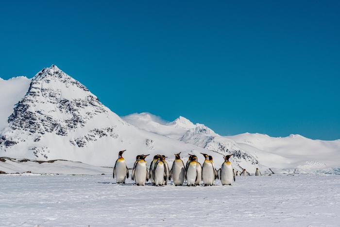 Учёные показали, как Антарктида выглядит без ледяного панциря