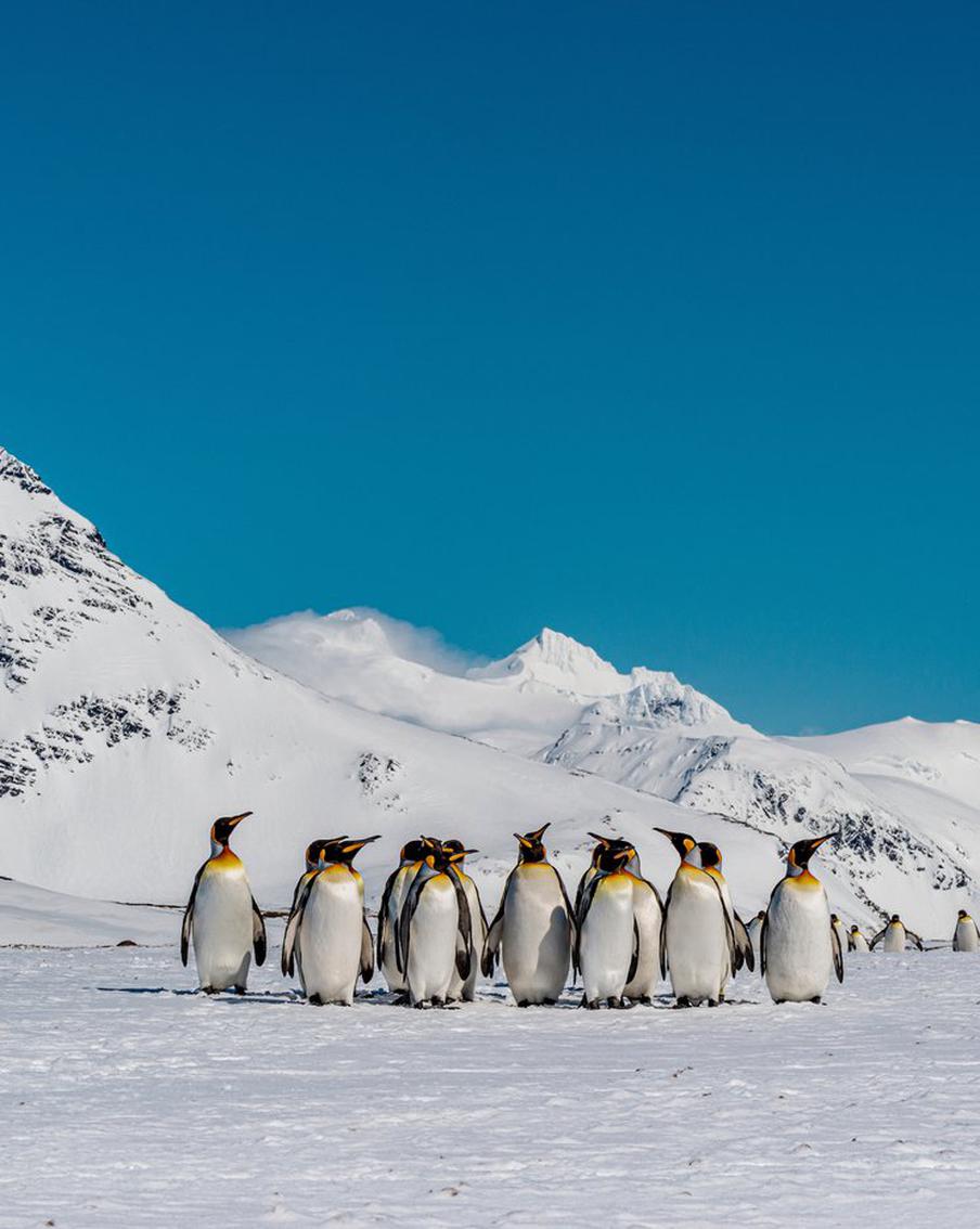 Учёные показали, как Антарктида выглядит без ледяного панциря