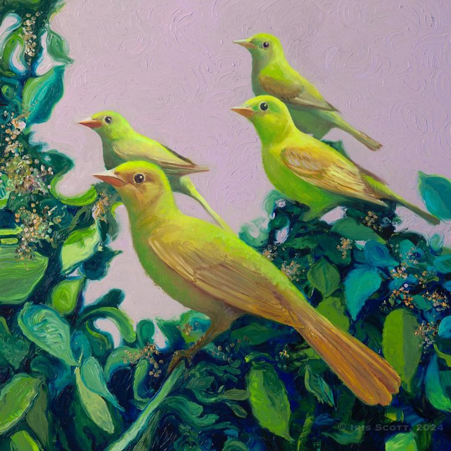 Работы Айрис Скотт