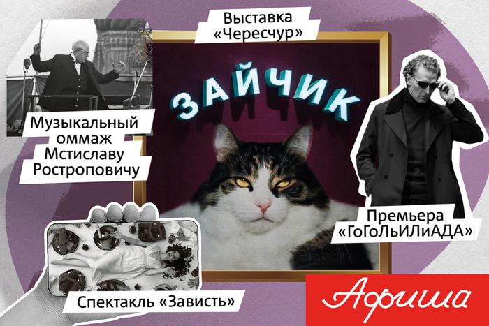 Чем заняться в Москве: рассказываем про яркие выставки, концерты и премьеры в столице