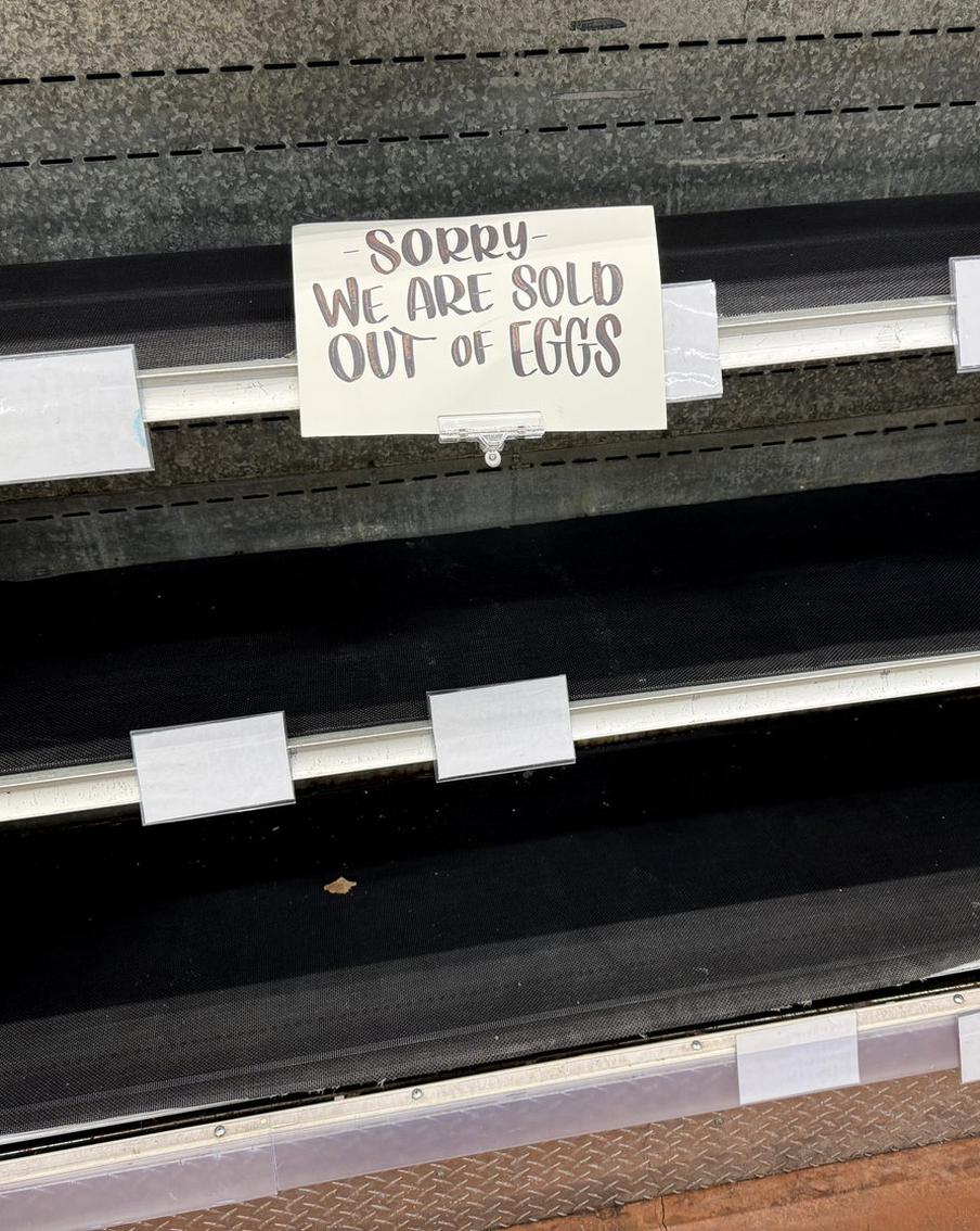 Bloomberg: Париж хочет применить против США самый мощный торговый инструмент ЕС