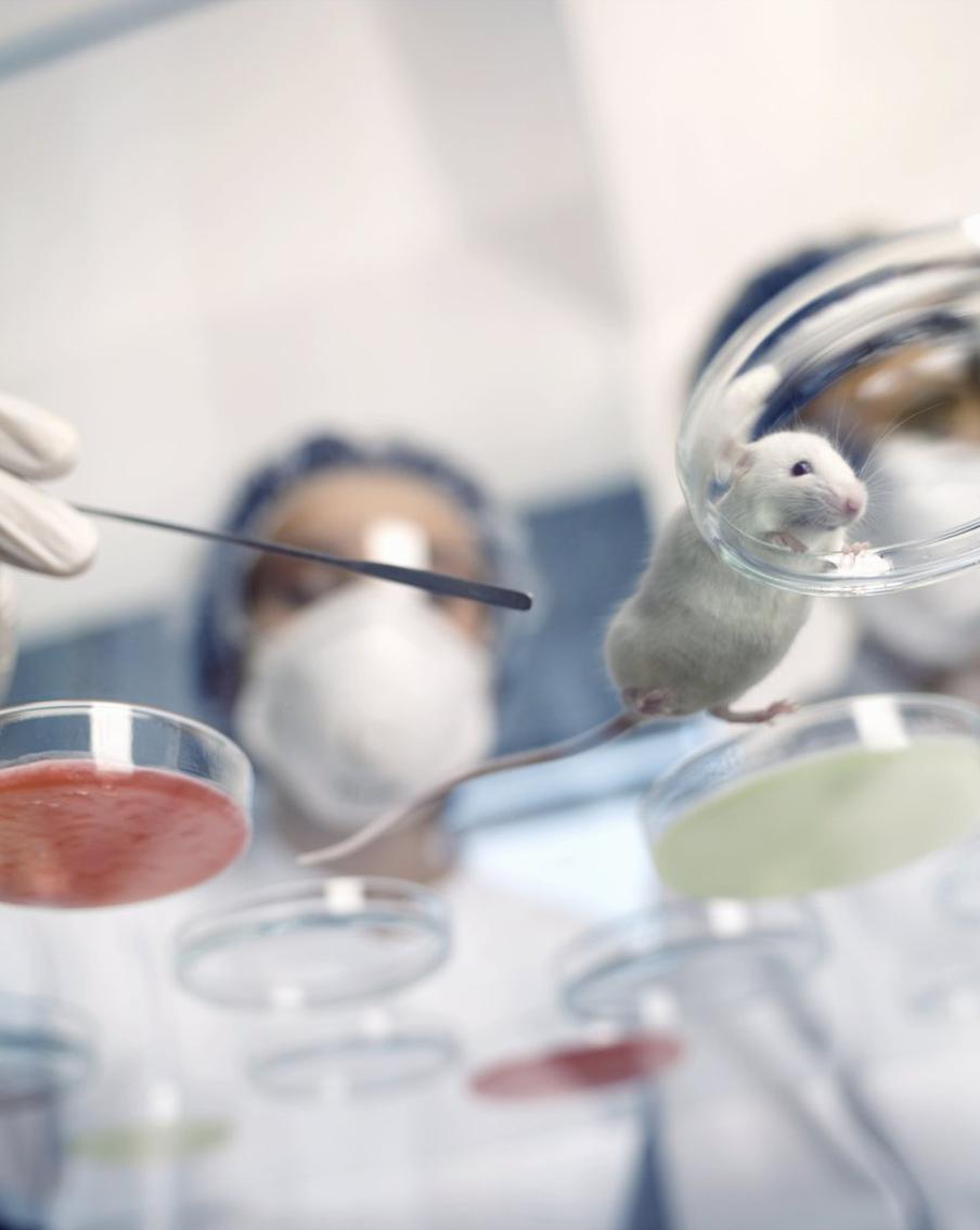 Учёные создали препарат для восстановления движений после инсульта