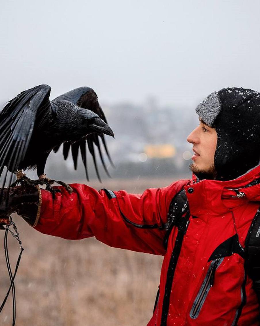 Ворон Гоша играет в крестики-нолики, знает арифметику и показывает характер