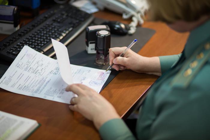 В Новосибирске таможенники нашли 150 отмычек в международной посылке