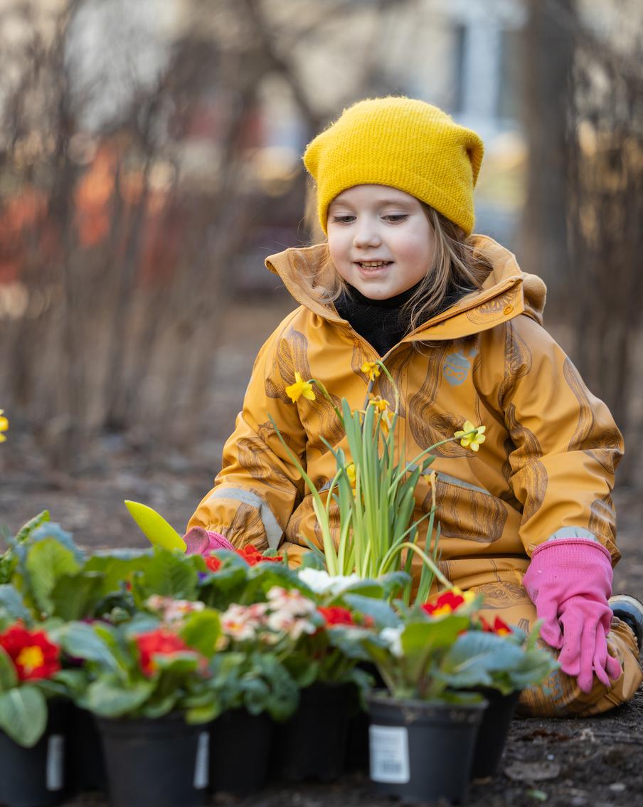 Лабиринт во дворе дома исполняет желания: на улице Маршала Василевского берегут традиции