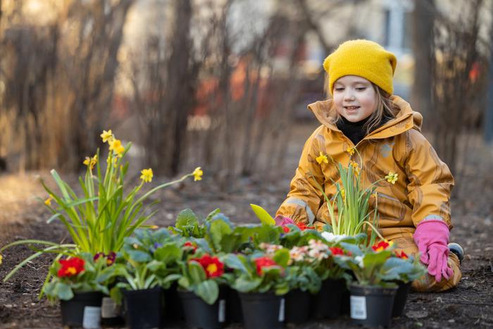 Лабиринт во дворе дома исполняет желания: на улице Маршала Василевского берегут традиции