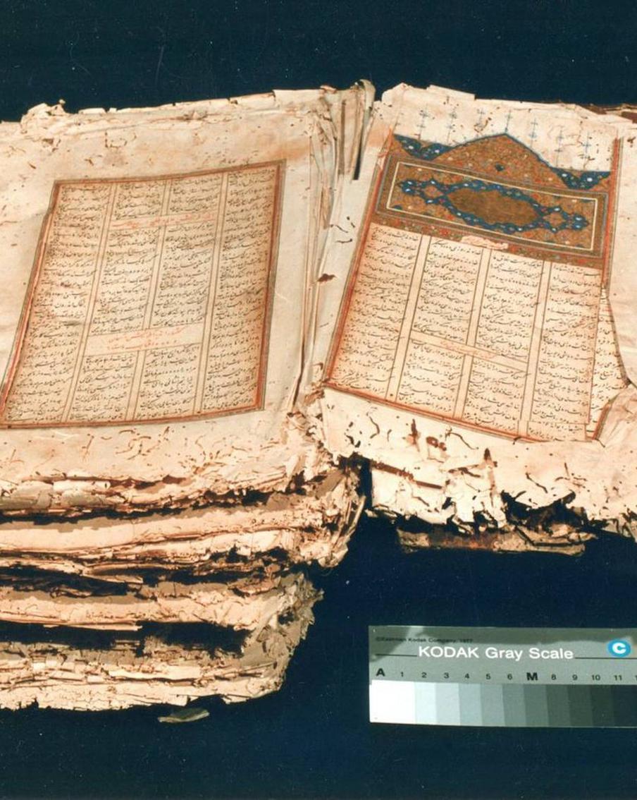 Библиолекари против жуков и плесени: как в "Иностранке" спасают книги