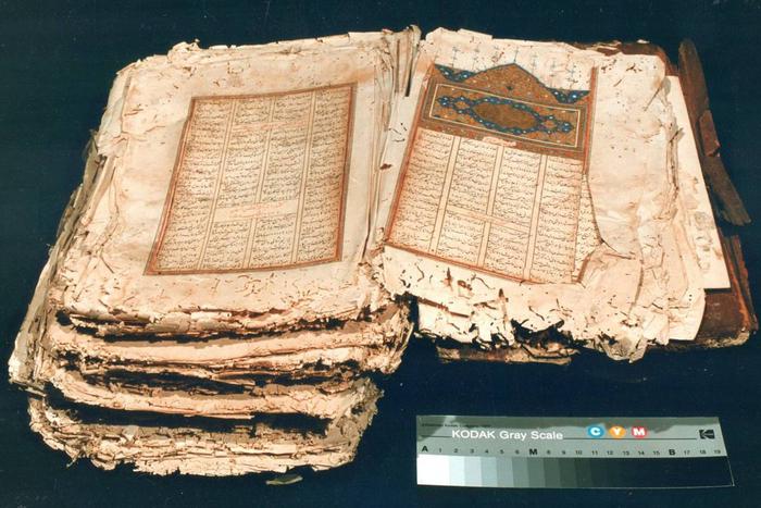 Библиолекари против жуков и плесени: как в "Иностранке" спасают книги