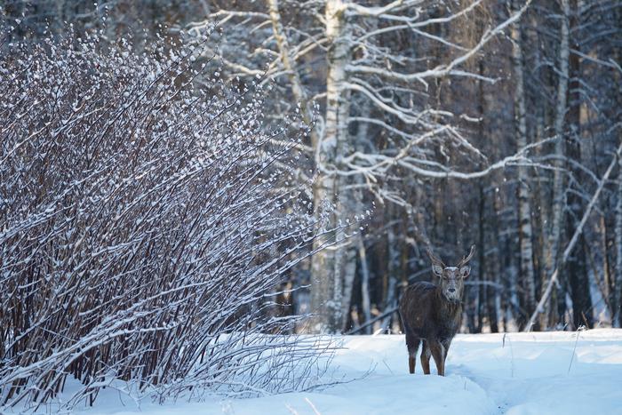 Экспертный совет по зелёному фонду столицы провёл первое заседание