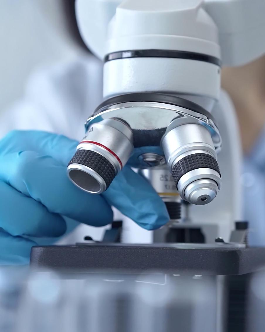 Прорыв в биологии: учёные оживили диатомовые водоросли возрастом 7000 лет