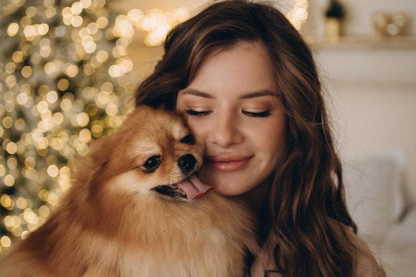 Догхантеры травят собак в Подмосковье: поговорили с потерпевшей и ветеринаром