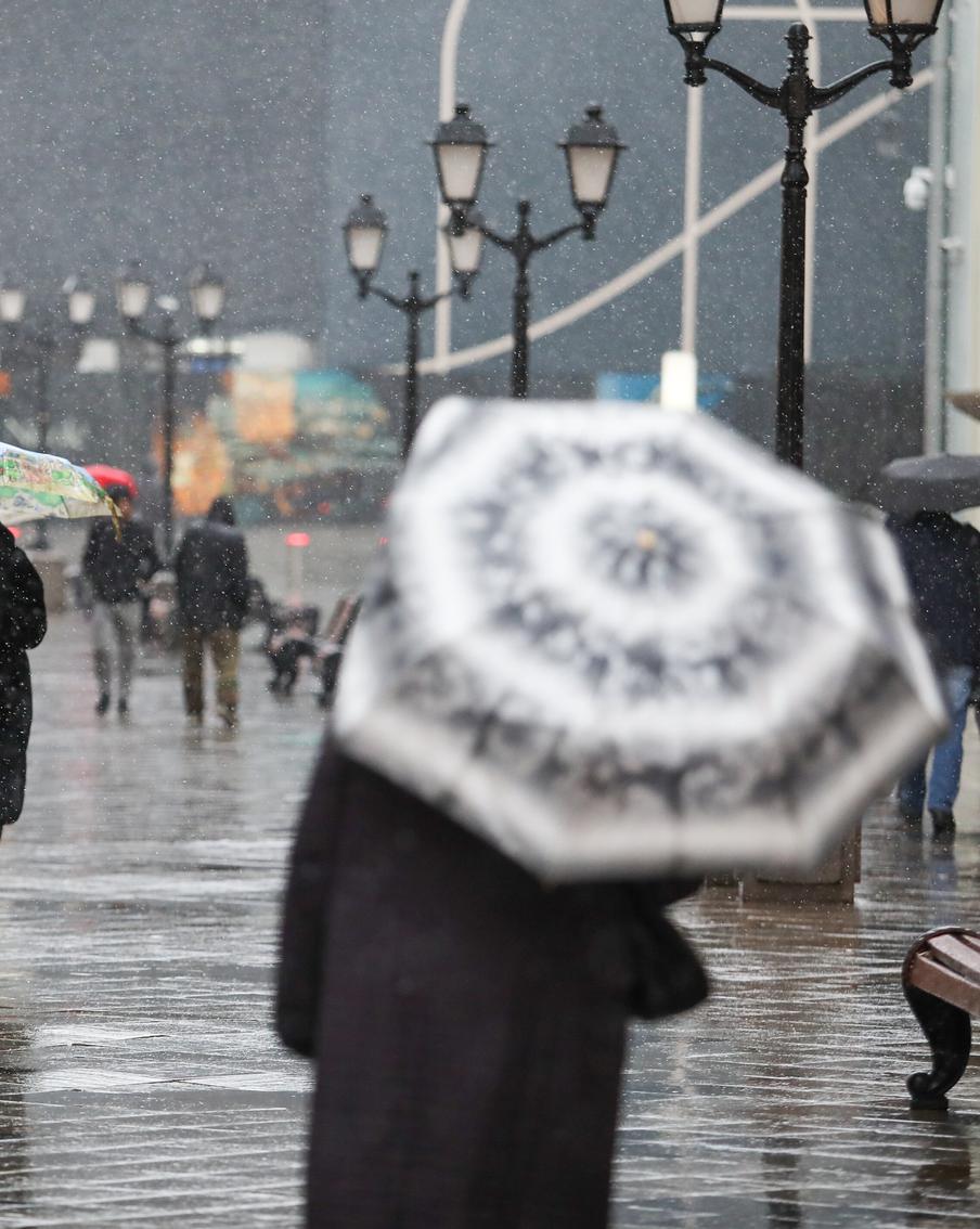 Мокрый снег и резкое похолодание ждут москвичей в предстоящие выходные
