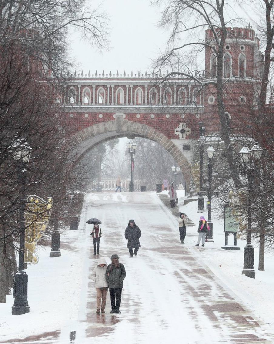 Москвичам рассказали, сколько в столице будет идти вызванный "Зионом" снег