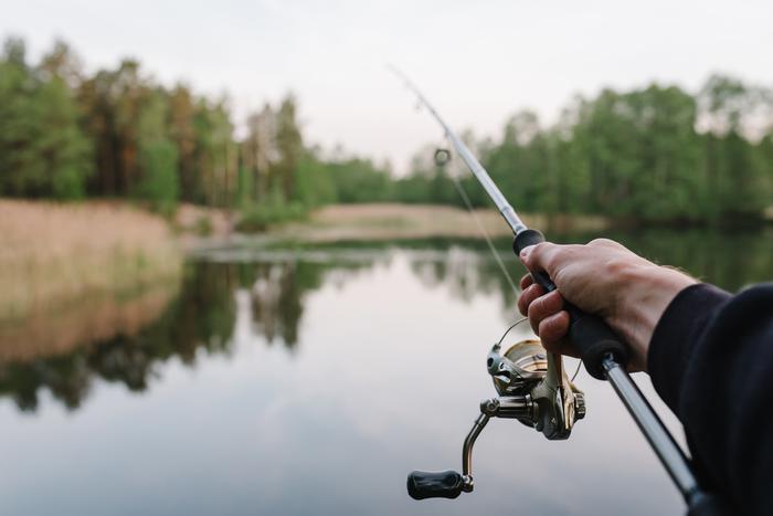 В России утвердили новые правила надзора в сфере рыбной ловли