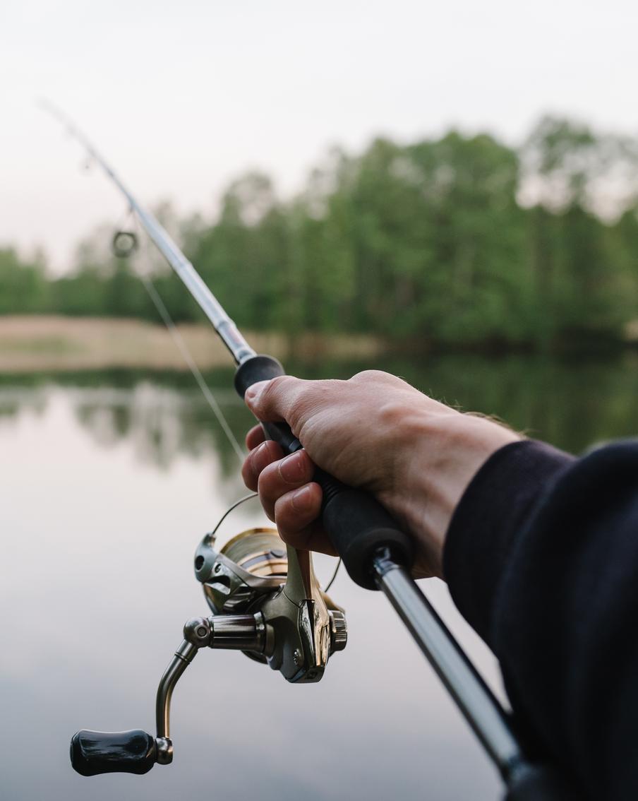 В России утвердили новые правила надзора в сфере рыбной ловли