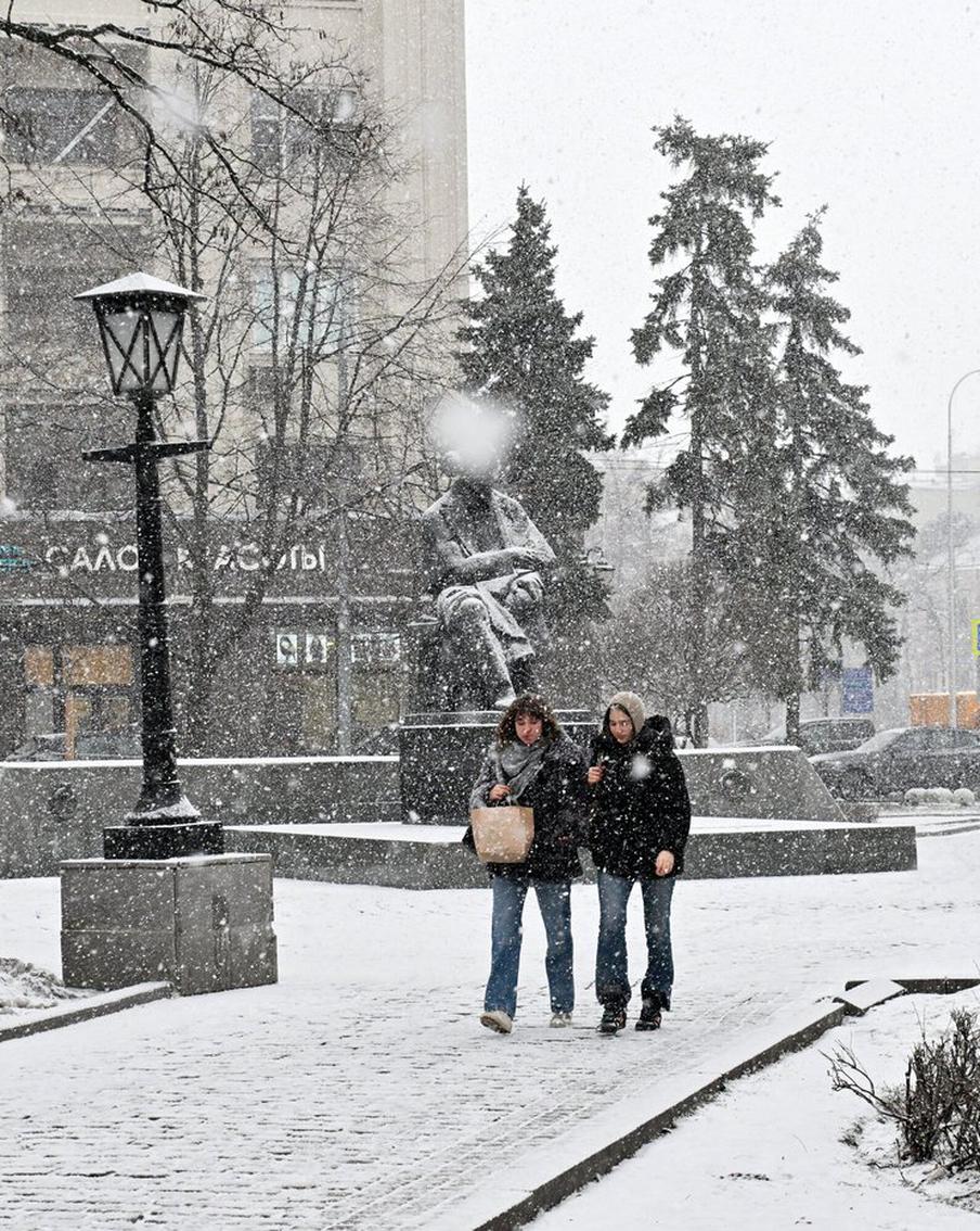 Жителей столицы предупредили о том, что в ближайший час в Москве начнётся мощный снегопад