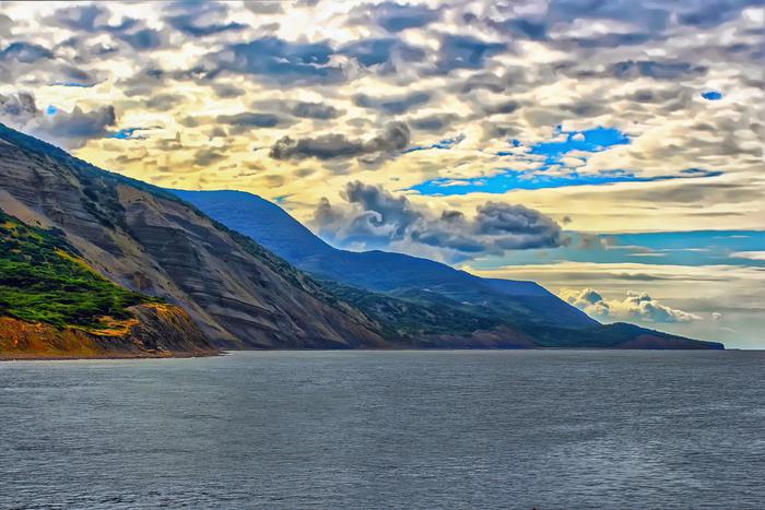 На побережье Анапы произошёл выброс пальмового масла