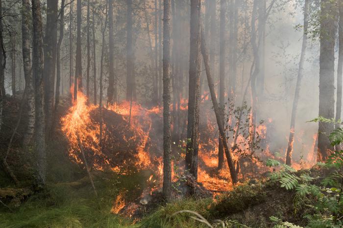 Масштабный лесной пожар в Бурятии охватил 370 гектаров