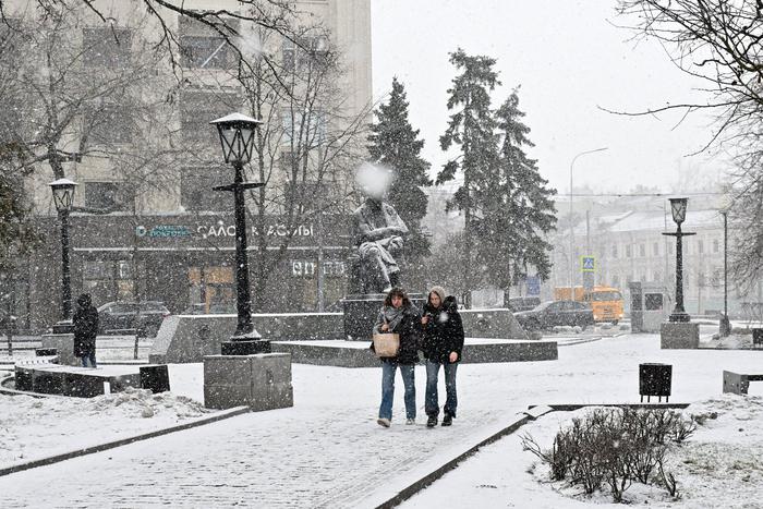 "Резерв спящих почек": погибнут ли растения в Москве из-за снегопада