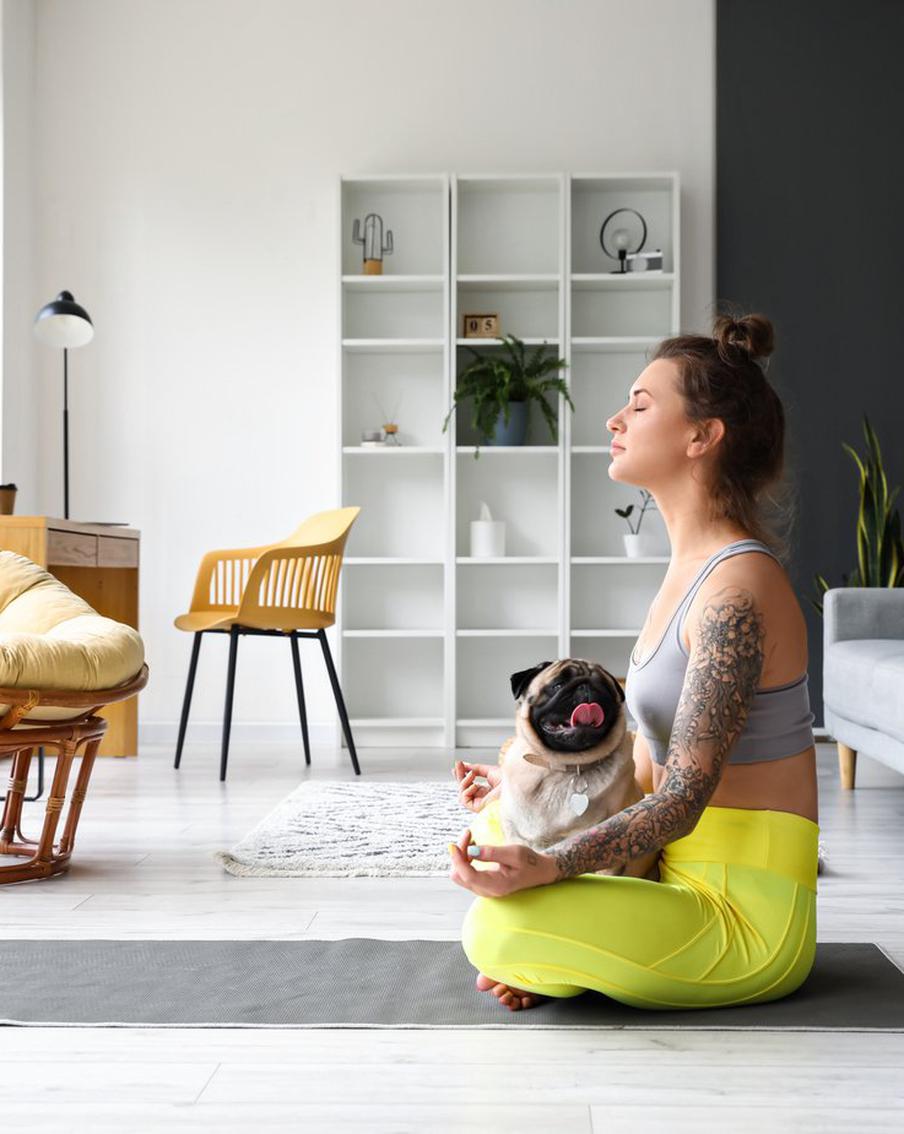 Почему молодёжи проще завести шпица или мейн-куна, а не ребёнка