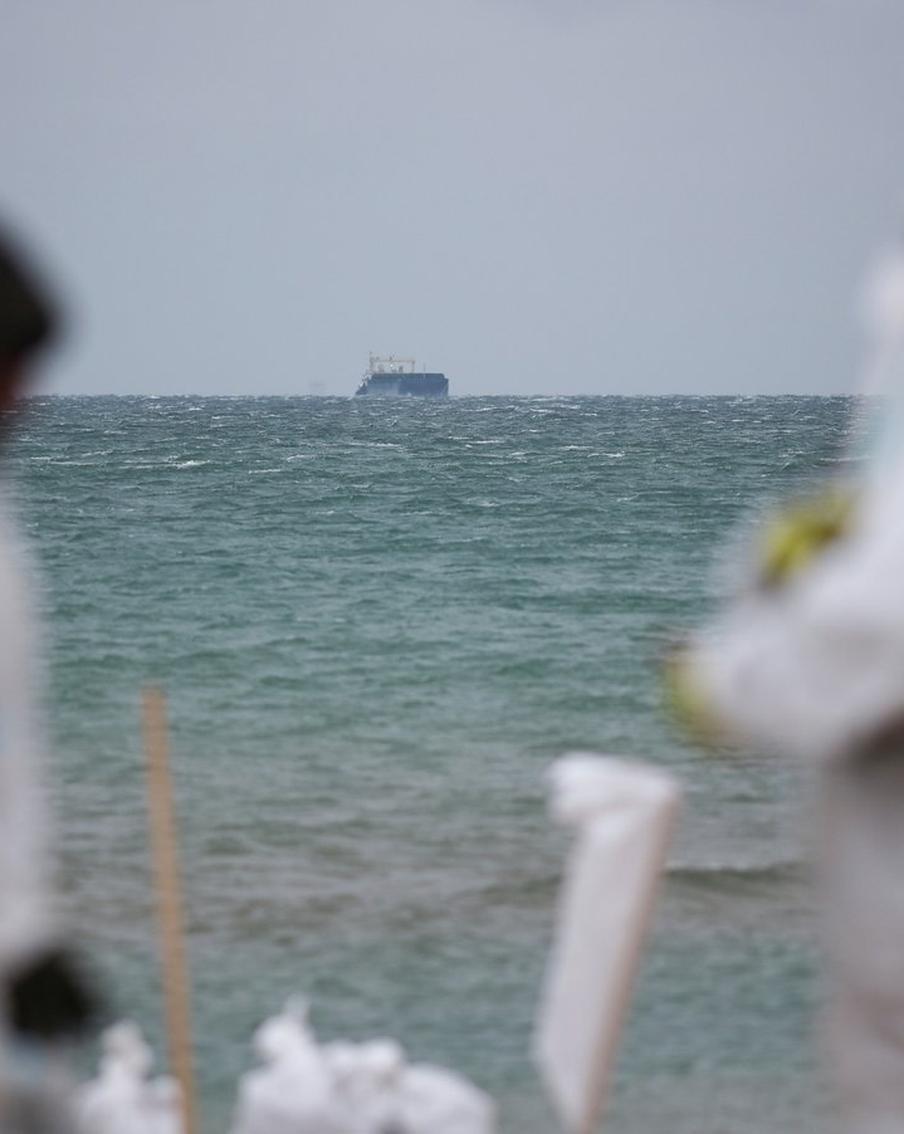 Опасно ли отдыхать на Чёрном море после загрязнения мазутом и пальмовым маслом