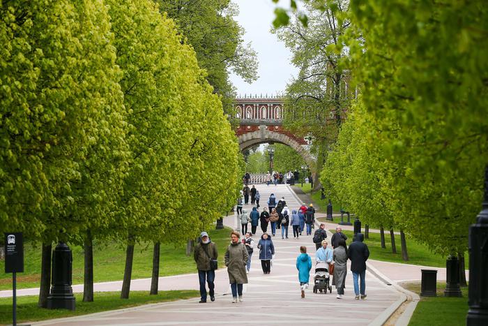 Столичных аллергиков предупредили о скором начале сезона цветения аллергенных растений в Москве