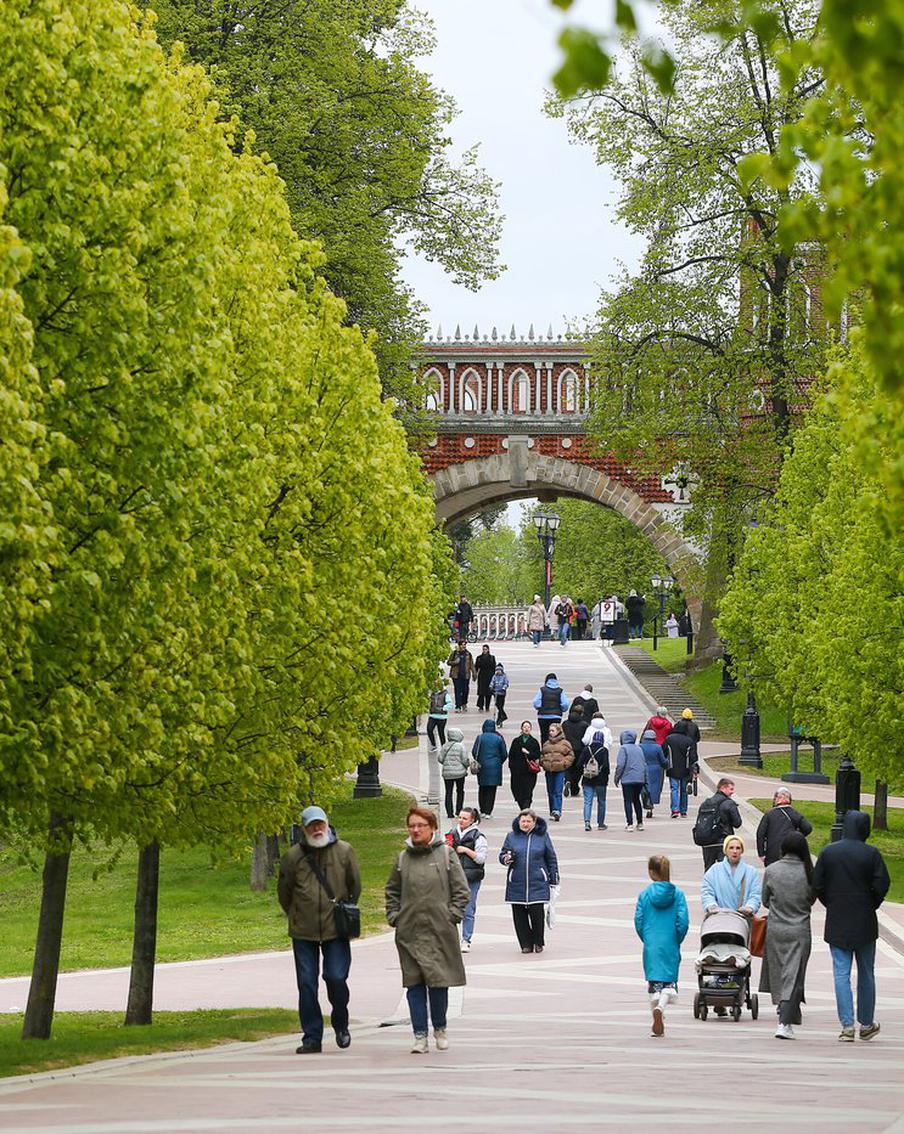 Столичных аллергиков предупредили о скором начале сезона цветения аллергенных растений в Москве