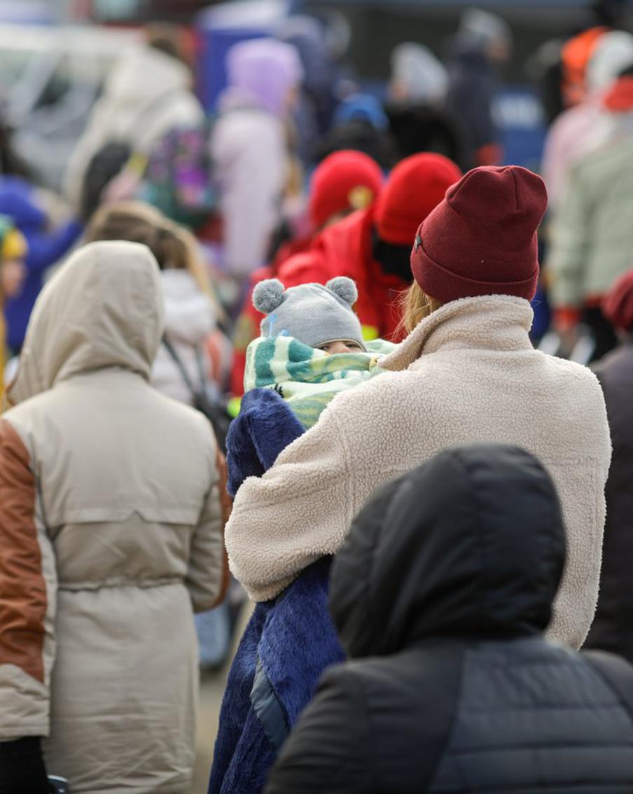 Украинским беженцам могут сократить помощь в Австрии из-за нелегальной иммиграции в страну закарпатских ромов