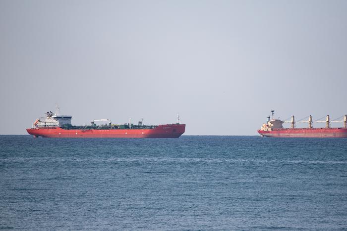 Российская и украинская делегации встретятся в Анкаре для обсуждения безопасности судоходства в Чёрном море