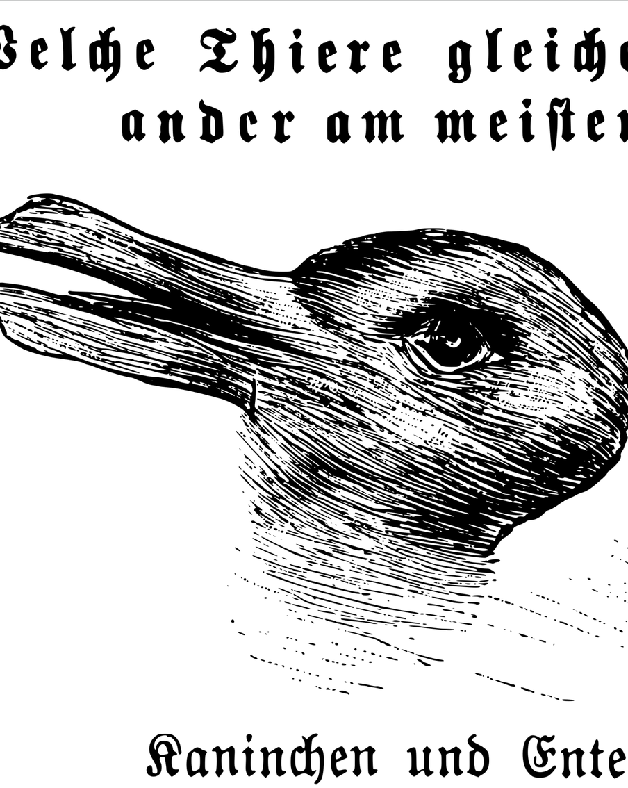 На рисунке – утка или кролик: что расскажет о вас оптическая иллюзия 1892 года