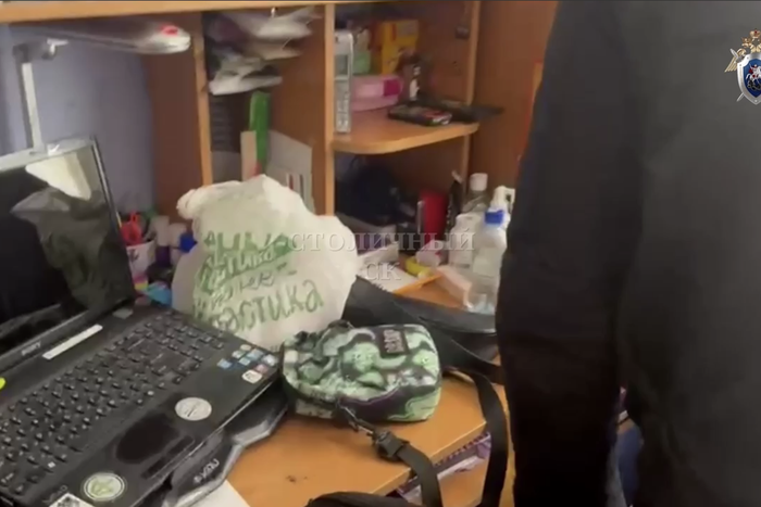 "Новые сёстры Хачатурян": что известно о гибели мужчины от рук дочери в Южном Бутово