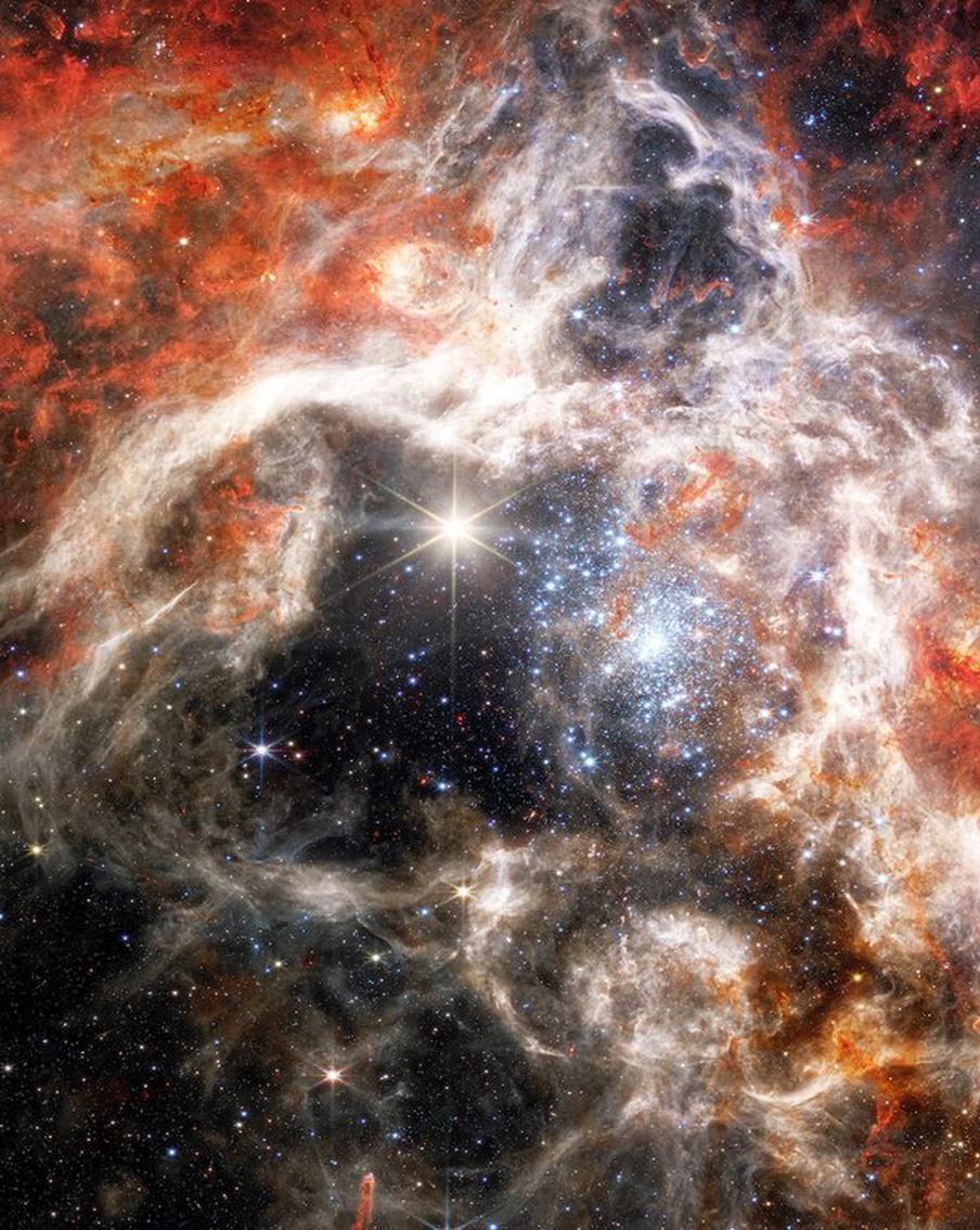 Научный руководитель Института астрономии РАН отреагировал на новости о "жизни во Вселенной"