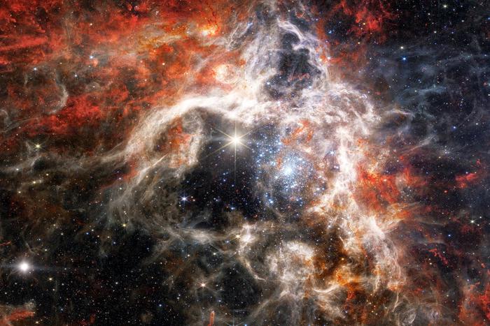 Научный руководитель Института астрономии РАН отреагировал на новости о "жизни во Вселенной"