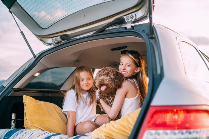 Глава Минпромторга Алиханов: в РФ вернут льготные автокредиты для семей с детьми