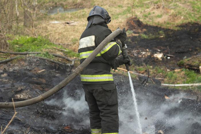 В Забайкалье прибыли главы МЧС и Минприроды для оценки ущерба от пожаров