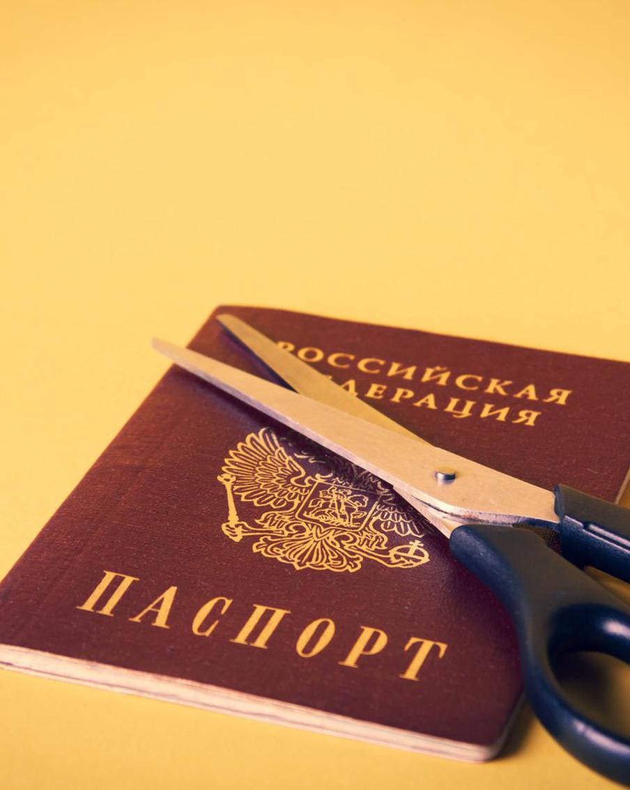 Комиков Комиссаренко и Романова лишили российского гражданства