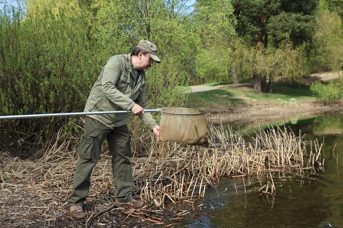 За микроорганизмами и редкими амфибиями следят в "Лосином Острове": в нацпарке возобновились полевые экологические работы